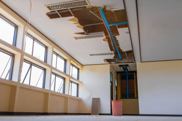 Best Carpet water damage restoration  in The Acreage, FL