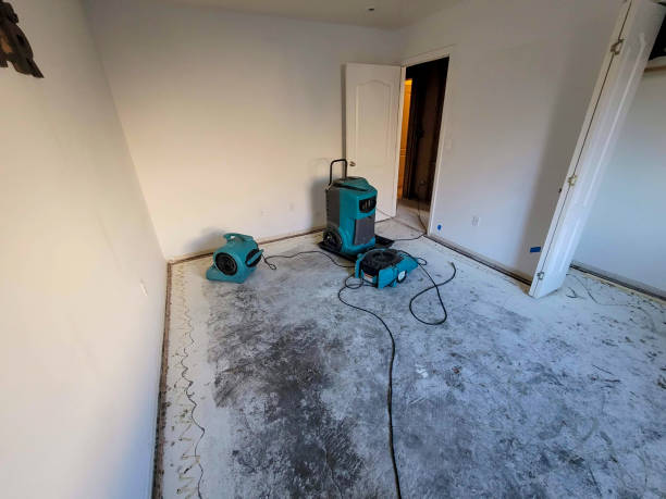 Best Ceiling water damage repair  in The Acreage, FL