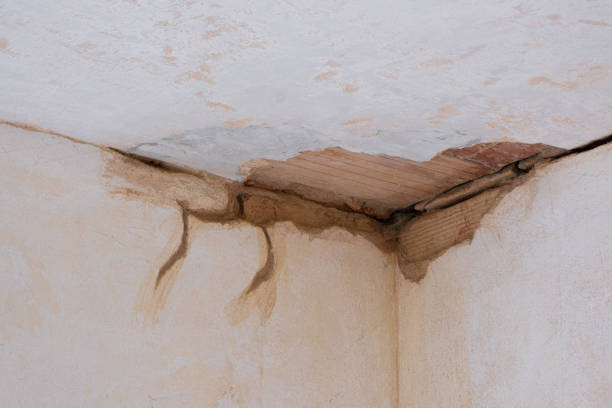 Best Water damage mitigation services  in The Acreage, FL