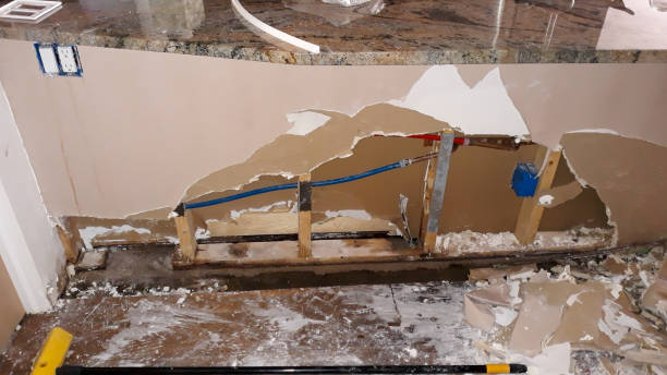 Best Professional water damage repair  in The Acreage, FL