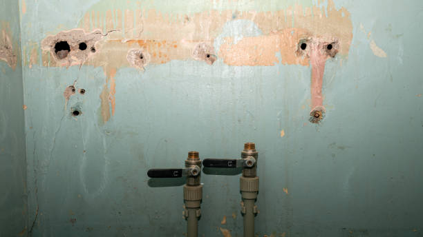 Best 24-hour water damage restoration  in The Acreage, FL