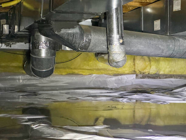 Best Water damage cleanup near me  in The Acreage, FL