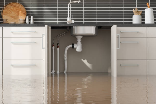 Best Sewage cleanup and water damage restoration  in The Acreage, FL