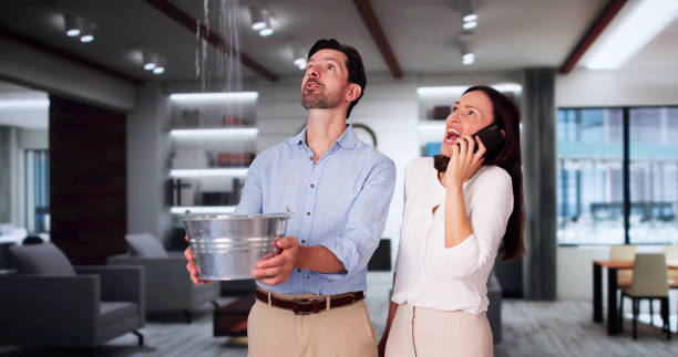 Best Basement water damage restoration  in The Acreage, FL