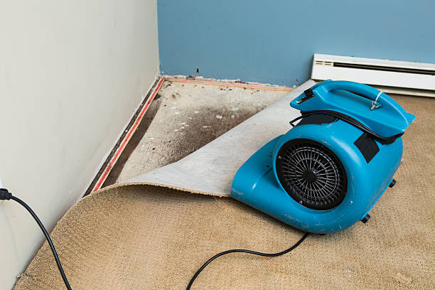 Best Water damage restoration near me  in The Acreage, FL