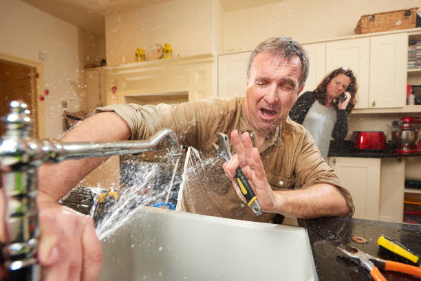 Best Water damage contractors near me  in The Acreage, FL